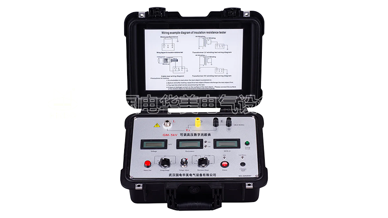 可调高压数字兆欧表
