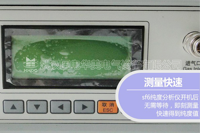 SF6气体纯度分析仪